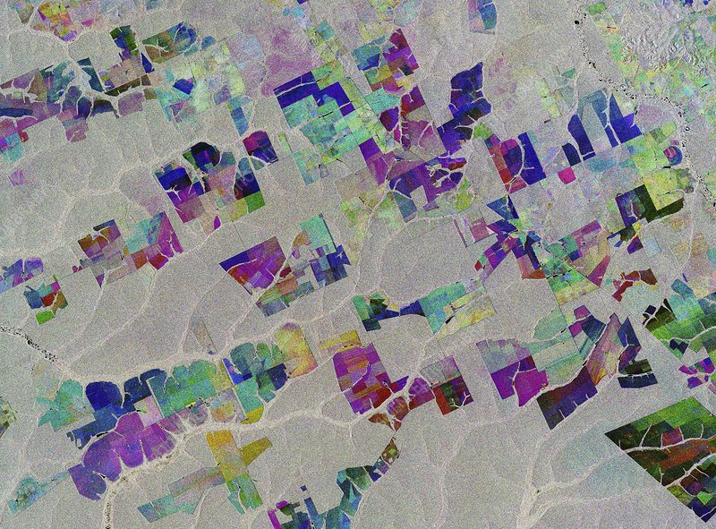 deforestation in brazil, satellite radar image