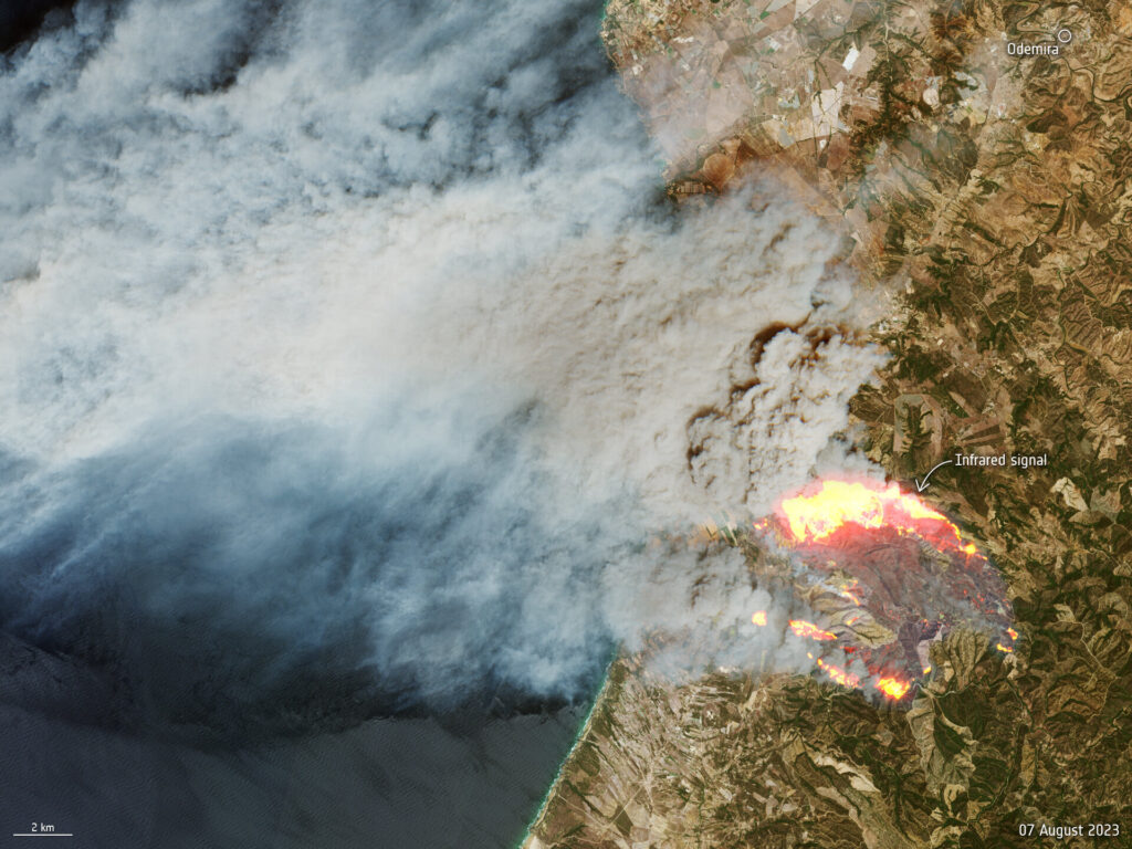wildfires